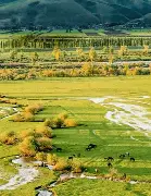 模拟器试玩-德国杯杯赛程表